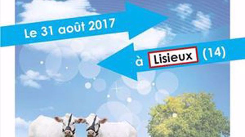 6ème vente charolaise origenplus