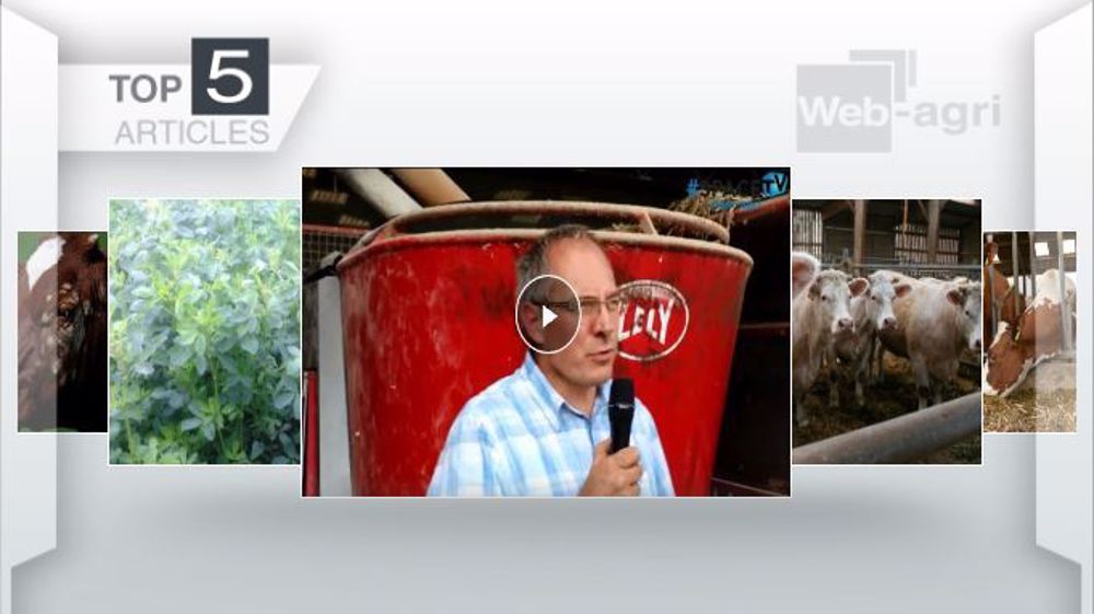 Articles les plus lus cette semaine sur Web-agri. (©Terre-net Média)