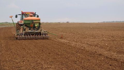 En plus des résultats d'essais pour choisir ses variétés, Arvalis-Institut du végétal livre ses conseils pour l'ensemble des interventions d'automne en céréales. (©Terre-net Média) En plus des résultats d'essais pour choisir ses variétés, Arvalis-Institut du végétal livre ses conseils pour l'ensemble des interventions d'automne en céréales. (©Terre-net Média)