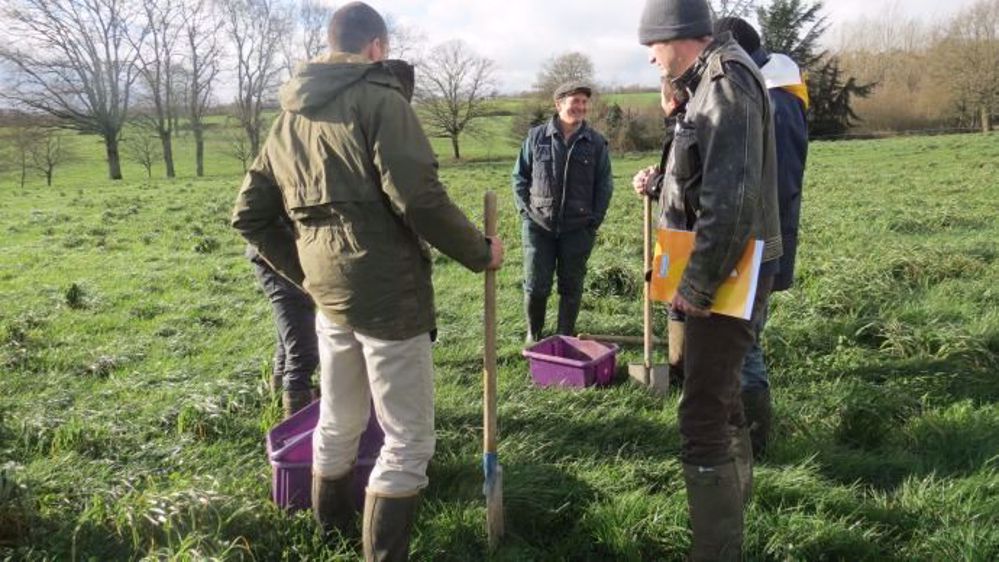Les membres de Sol Vivant 35 se retrouvent sur leurs exploitations pour échanger et analyser collectivement leurs résultats. (©Sol Vivant 35)