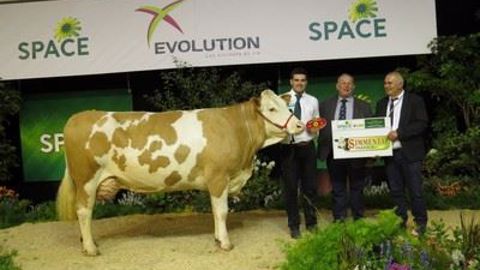 Hawaï s'impose sur le concours européen Simmental Hawaï s'impose sur le concours européen Simmental