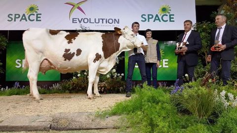 Hexode (Vigor Jb x Redon), la grande championne Montbéliarde du Space 2017. (©Terre-net Média) Hexode (Vigor Jb x Redon), la grande championne Montbéliarde du Space 2017. (©Terre-net Média)