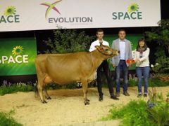 Hulsa, grande championne, championne jeune et meilleure mamelle jeune. (©Arsoe) Hulsa, grande championne, championne jeune et meilleure mamelle jeune. (©Arsoe)