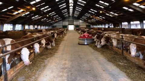 Grâce à des visites d'exploitations, les participants au congrès ont découvert un système laitier productif à faibles coûts. (©BTPL) Grâce à des visites d'exploitations, les participants au congrès ont découvert un système laitier productif à faibles coûts. (©BTPL)