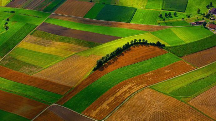 Les parcellaires peuvent provoquer de nombreuses irrégularités