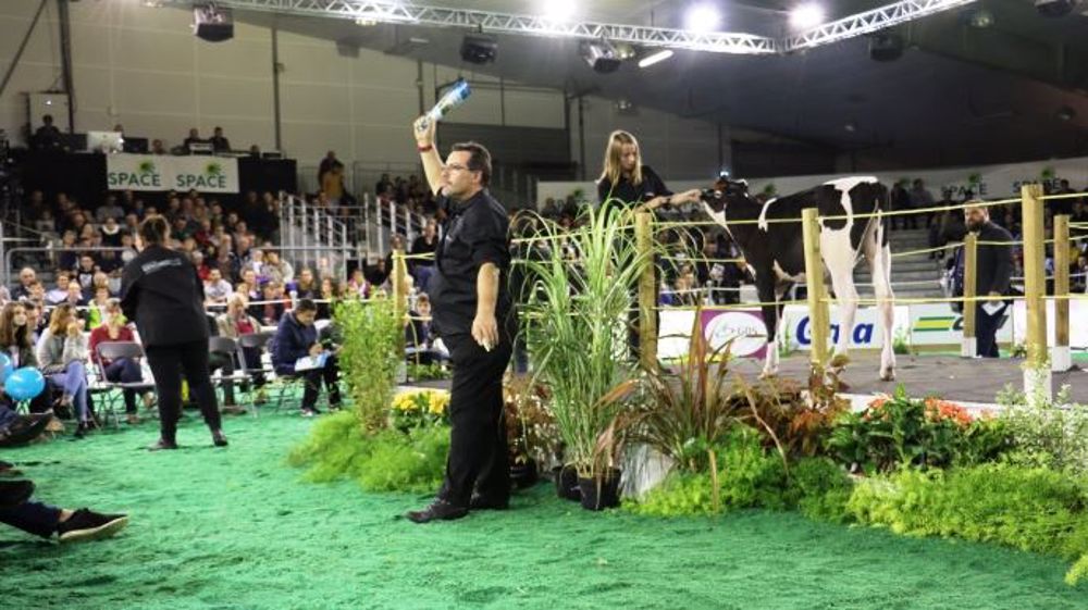 Nymphéa (fille de Louxor et Lexi B+84), a été vendue 6 400 € à le vente génomic élite du Space pour une mise à prix de 3 500 €. (©Terre-net Média)