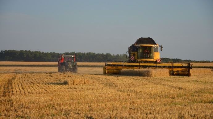 Pourquoi l’Union européenne ne relève-t-elle pas le prix d’intervention des céréales ? 