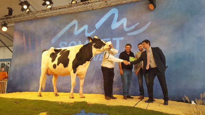 Jude BB Grande championne holstein Somme élevage 2017