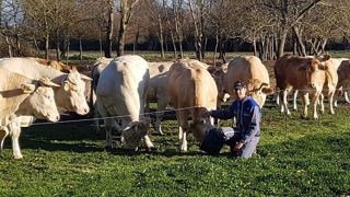 Ludovic Marty s'est installé à Revel, en Haute-Garonne, sur l'exploitation familiale : une petite structure de 48 ha et 14 vaches allaitantes en production de veaux sous la mère. (©Ludovic Marty) Ludovic Marty s'est installé à Revel, en Haute-Garonne, sur l'exploitation familiale : une petite structure de 48 ha et 14 vaches allaitantes en production de veaux sous la mère. (©Ludovic Marty)