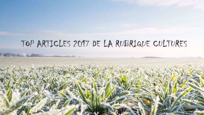 Gel en cultures