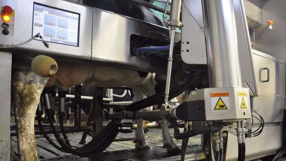 L'application Canopée de Sanders recense les différentes données d'un élevage laitier pour les analyser sur une seule et même plateforme. (©Terre-net Média)