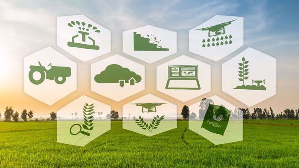 « La révolution internet est la troisième révolution agricole », assure Rémi Dumery. (©Montri/Fotolia)