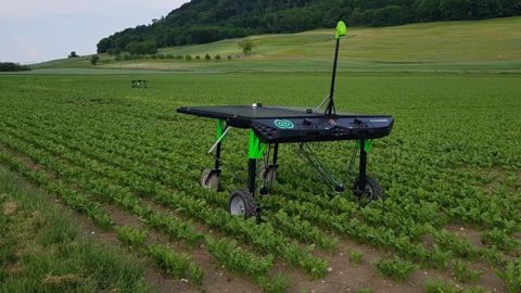 Le robot de désherbage Ecorobotix est testé en grandes cultures. (©Ecorobotix)