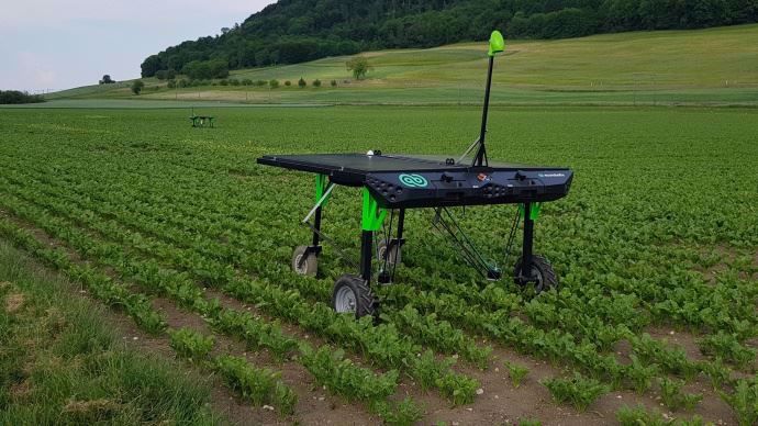 Robot de désherbage Ecorobotix