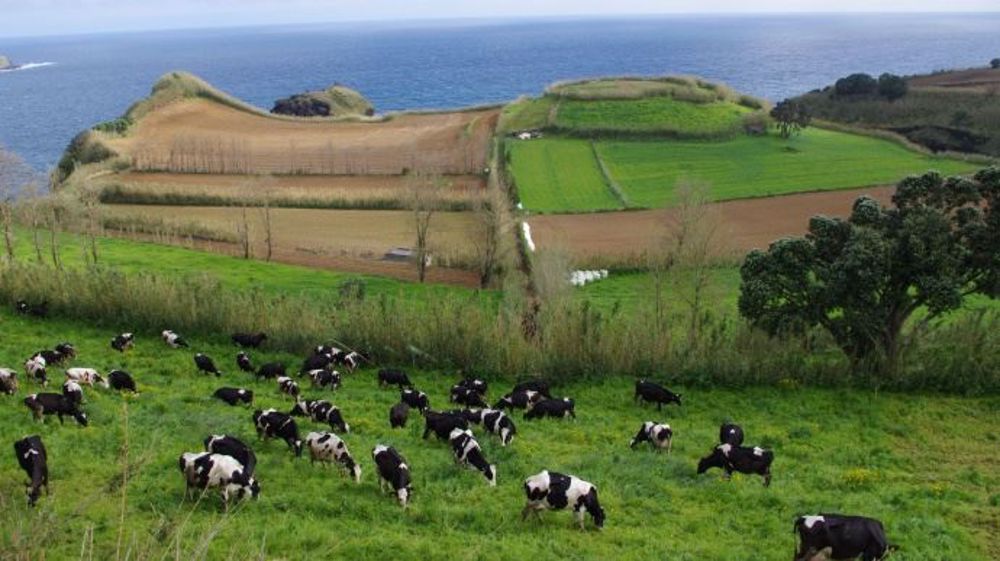 Porté par l'Idele, le projet Dairy-4-Future regroupe cinq pays (Royaume-Uni, Irlande, France, Espagne, Portugal) et a pour objectif de rendre le secteur laitier de l'espace Atlantique plus résilient et durable. (©Sissoupitch/Fotolia)