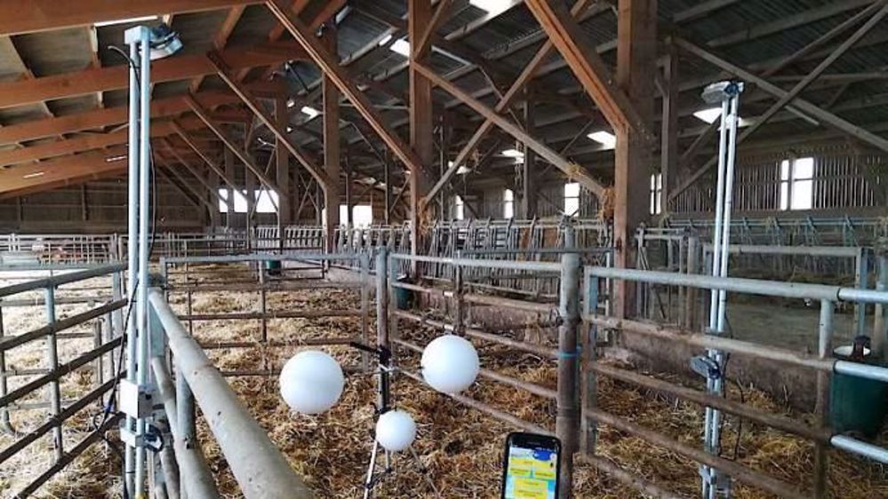 De part et d'autre d'un passage de 2,5 m de large, les deux colonnes captent le mouvement de l'animal et le retranscrivent en image 3D afin d'estimer sa morphologie. (©Idele)