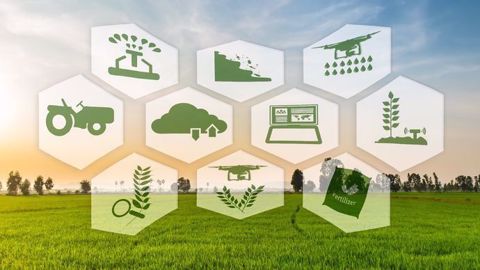 « La révolution internet est la troisième révolution agricole », assure Rémi Dumery. (©Montri/Fotolia)