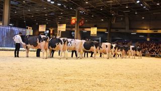 Revivez les concours en replay et retrouvez tous les palmarès Revivez les concours en replay et retrouvez tous les palmarès