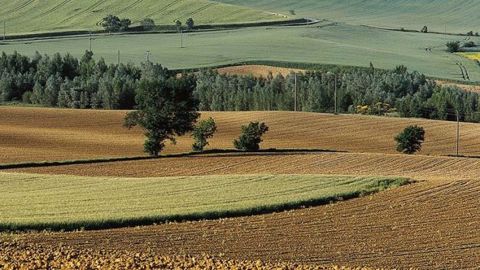Ramené à l’unité de surface cultivée, la France est au 9e rang des consommateurs de produits phytos en Europe. (©Arvalis-Institut du végétal) Ramené à l’unité de surface cultivée, la France est au 9e rang des consommateurs de produits phytos en Europe. (©Arvalis-Institut du végétal)