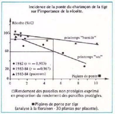 Incidence de la ponte du charançon de la tige sur l'importance de la récolte