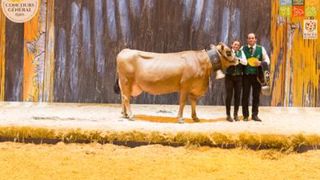 Adène, championne tarentaise du Sia 2018. (©Sia 2018) Adène, championne tarentaise du Sia 2018. (©Sia 2018)