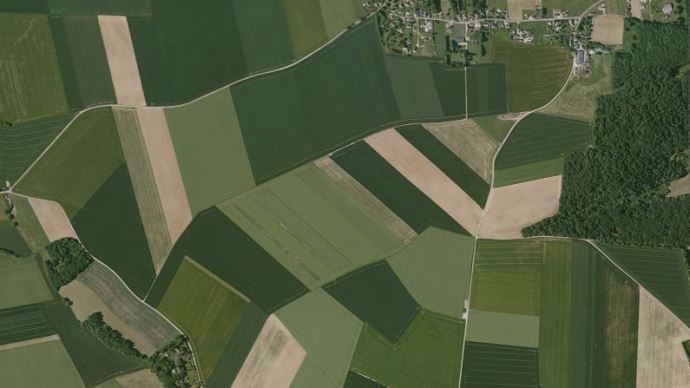 La taille des parcelles seraient un facteur de bonne pollinisation des plantes plus important que la diversité culturale.