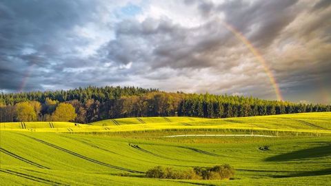 Même si l'année 2017 a été meilleure que celle de 2016 pour l'agriculture française, l'avenir reste incertain. (©Mike Mareen/Fotolia) Même si l'année 2017 a été meilleure que celle de 2016 pour l'agriculture française, l'avenir reste incertain. (©Mike Mareen/Fotolia)