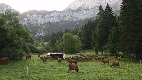 La nouvelle proposition de carte des zones défavorisées simples excluerait encore plus de 5 000 actuels bénéficiaires de l'ICHN. (©Terre-net Média)