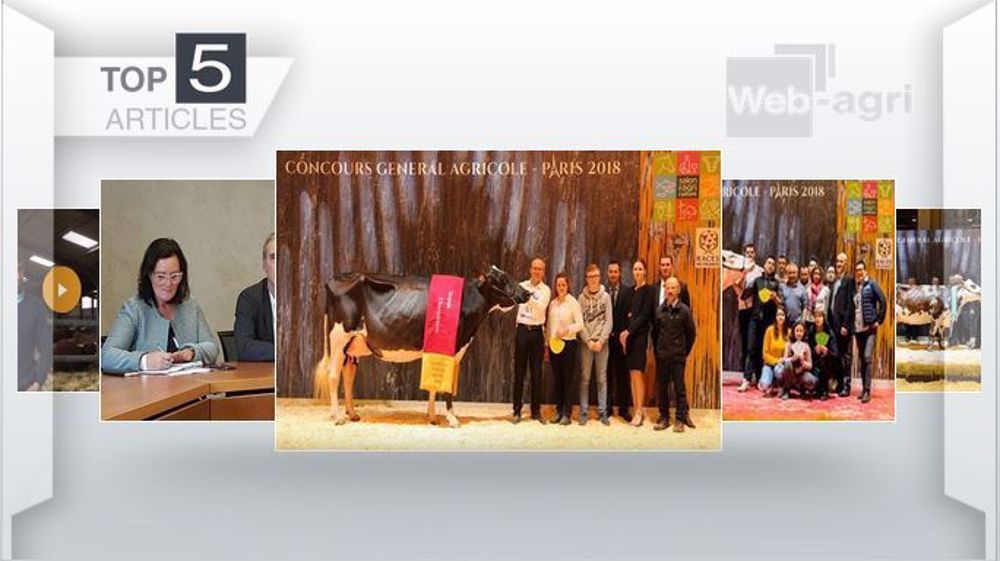 Top articles de Web-agri cette semaine. (©Terre-net Média)