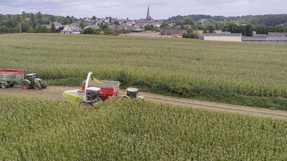 La volatilité des prix et la multiplication des aléas climatiques imposent aux agriculteurs de construire, en fonction des outils utilisables, un véritable "management" des risques. (©Watier Visuels)