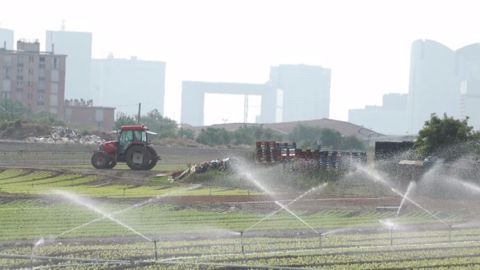   L'Agence des espaces verts (AEV) tente de protéger les<strong> </strong>zones agricoles périurbaines.<strong> </strong>(©Scure)