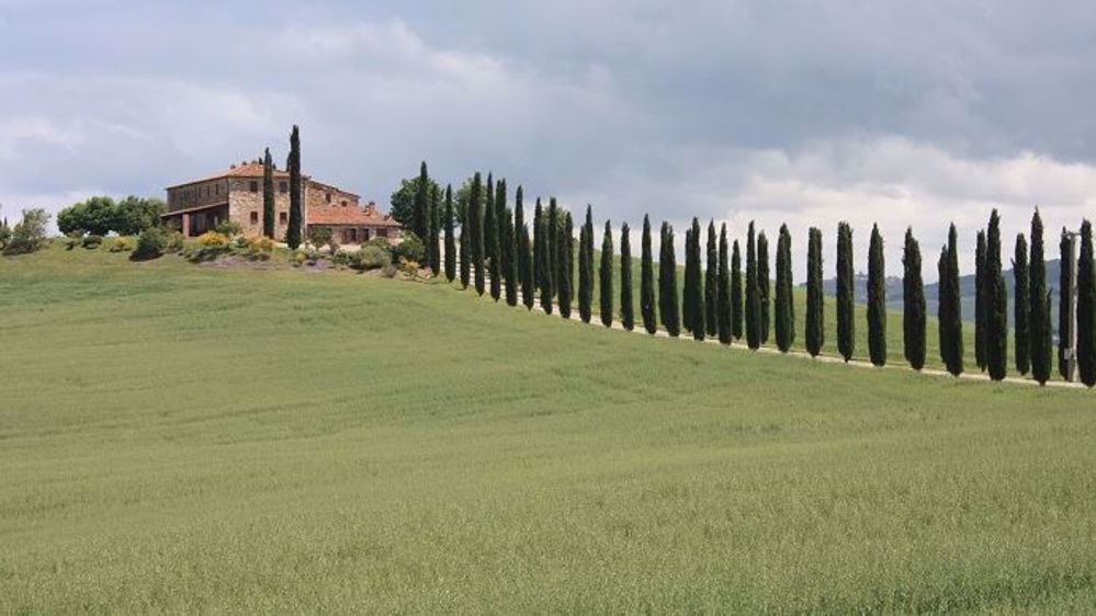 En Vénétie comme en Toscane, l'agriculture de précision reste peu utilisée en Italie. (©Terre-net Média)