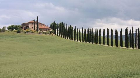 En Vénétie comme en Toscane, l'agriculture de précision reste peu utilisée en Italie. (©Terre-net Média)
