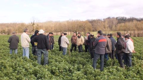 La 5e édition des journées techniques en agriculture de conservation des sols se déroulera le 31 mai 2018 à l'EPL Vendôme (41) sur le thème de la gestion de l'enherbement. (©Apad) La 5e édition des journées techniques en agriculture de conservation des sols se déroulera le 31 mai 2018 à l'EPL Vendôme (41) sur le thème de la gestion de l'enherbement. (©Apad)