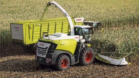 Claas Jaguar 980, le type 498 en version US monte jusqu'à 800 ch (©Claas)