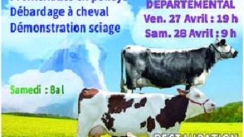 Prim'holsteins, Montbéliardes et Vosgiennes seront à l'honneur du concours départemental des Vosges les 27 et 28 avril 2018 (©Neuf'élevage) Prim'holsteins, Montbéliardes et Vosgiennes seront à l'honneur du concours départemental des Vosges les 27 et 28 avril 2018 (©Neuf'élevage)