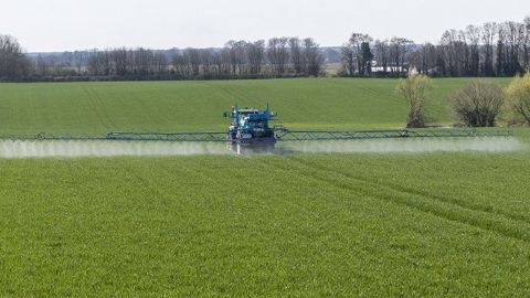 La recherche sera renforcée pour offrir aux agriculteurs un panel de méthodes alternatives avec notamment un soutien accru aux produits de biocontrole, annonce le gouvernement. (©Watier Visuel)