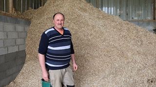 Henri Devillepoix a fait remonter le TB de ses vaches laitières en intégrant du miscanthus dans la ration pour un coût journalier de 10 cts/vache. (©Terre-net Média) Henri Devillepoix a fait remonter le TB de ses vaches laitières en intégrant du miscanthus dans la ration pour un coût journalier de 10 cts/vache. (©Terre-net Média)