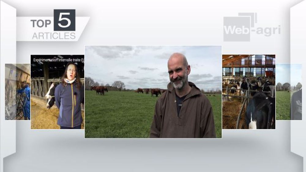 Articles les plus lus sur Web-agri cette semaine. (©Terre-net Média)