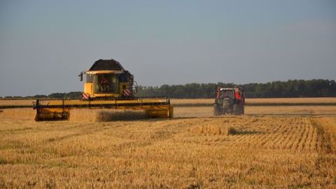 En 2018, la Russie ne battra pas à nouveau son record de production de blé atteint en 2017. (©Terre-net Média)