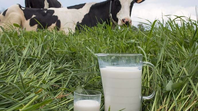 Journée mondiale du lait