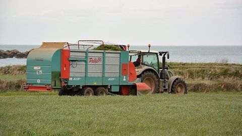 L'affouragement en vert permet de conserver une part importante d'herbe dans la ration sans faire pâturer les animaux. (©Terre-net Média) L'affouragement en vert permet de conserver une part importante d'herbe dans la ration sans faire pâturer les animaux. (©Terre-net Média)