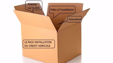 Le pack "L'installation by CA" est « un panel d’outils et d’avantages tarifaires », selon Jean-Christophe Roubin, directeur de l'agriculture au Crédit Agricole. (©Unclepodger, Fotolia) Le pack "L'installation by CA" est « un panel d’outils et d’avantages tarifaires », selon Jean-Christophe Roubin, directeur de l'agriculture au Crédit Agricole. (©Unclepodger, Fotolia)
