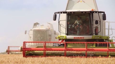 La moisson 2018 se déroulera-t-elle dans de bonnes conditions climatiques ? (©Terre-net Média)