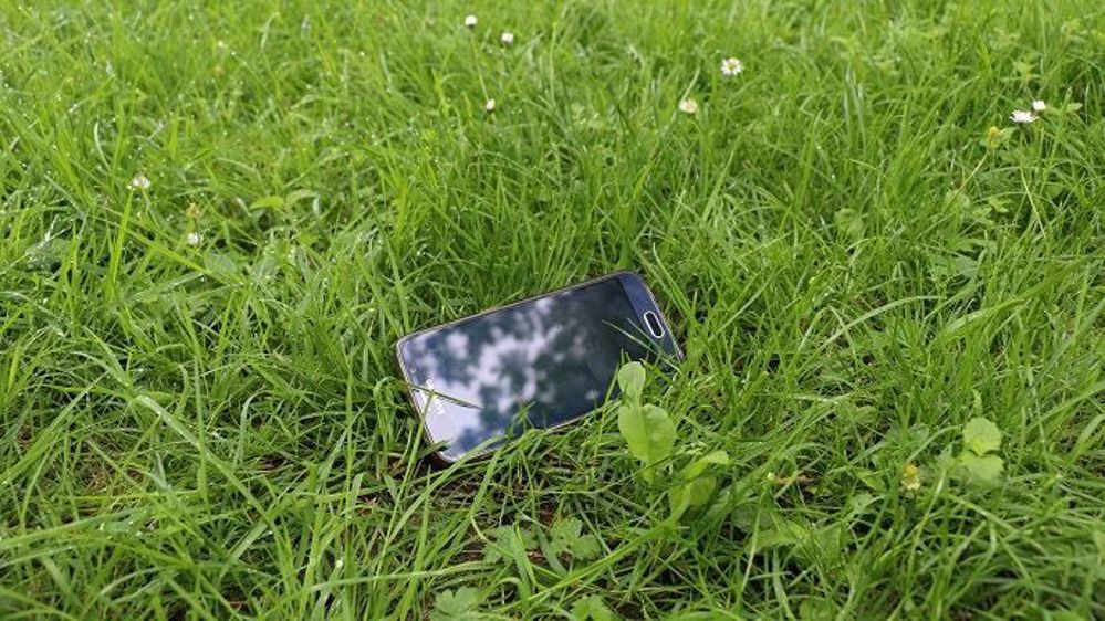 L'application mobile Grassman permettra à l'éleveur de piloter sa prairie du semis à la récolte. (©Terre-net Média)