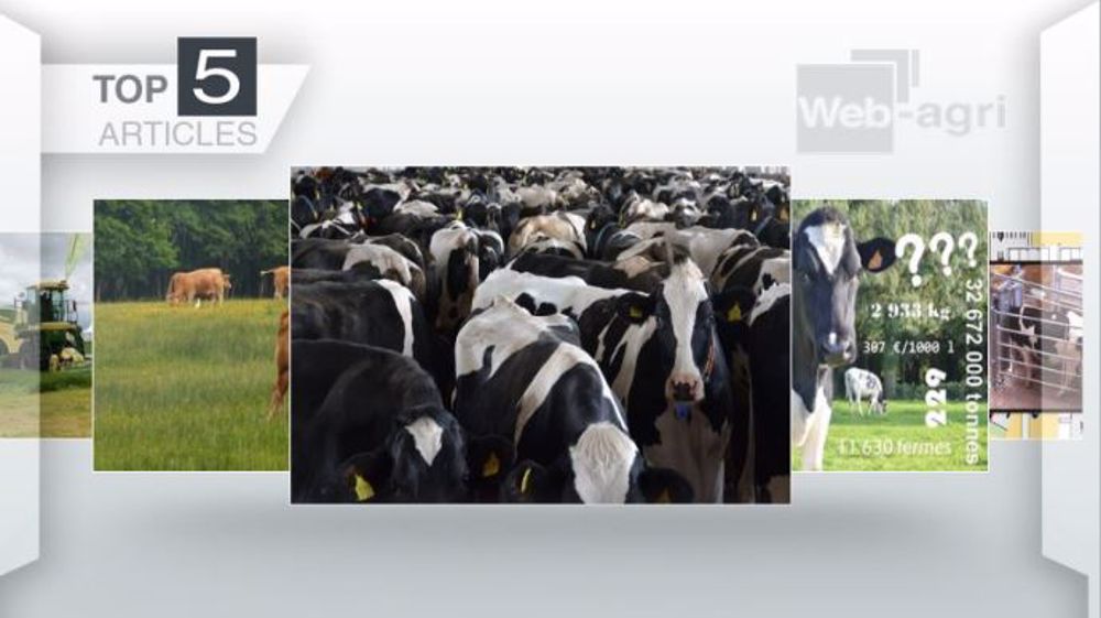 Top articles de Web-agri cette semaine (©Terre-net Média)
