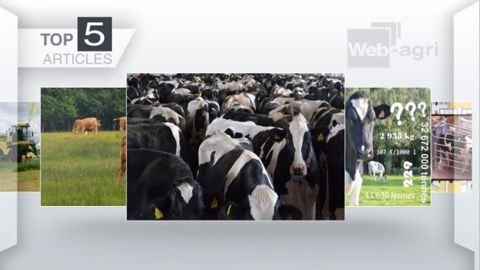 Top articles de Web-agri cette semaine (©Terre-net Média)