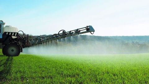 Désherber efficacement en situation de parcelles drainées tout en protégeant les ressources hydriques : des solutions existent !