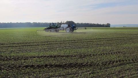 Sur céréales, les interventions très précoces d'automne au stade 1 feuille autorisent un très bon niveau d’efficacité du programme herbicide.