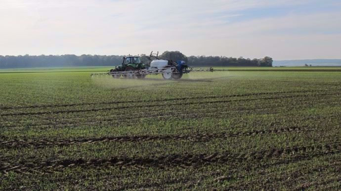 Sur céréales, les interventions très précoces d'automne au stade 1 feuille autorisent un très bon niveau d’efficacité du programme herbicide.